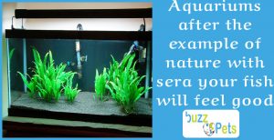 Aquariums after the example of nature with sera your fish will feel good